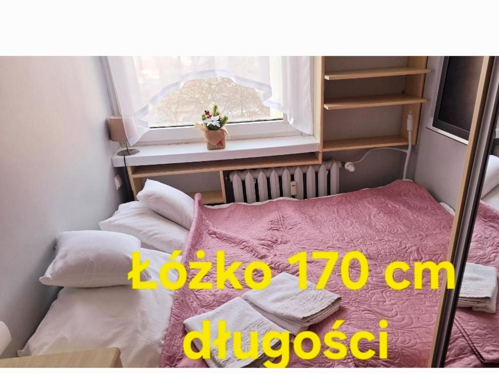 Espresso Doppio Zielona Gora (Lubuskie)